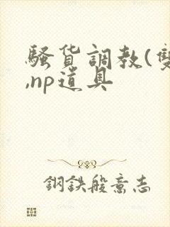 骚货调教(双性,np道具