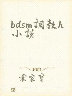 bdsm调教h小说封面