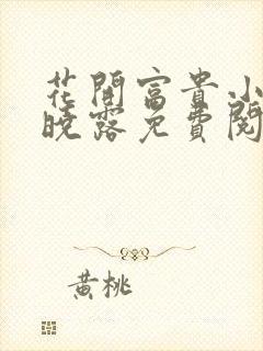 花开富贵小说赵晓露免费阅读