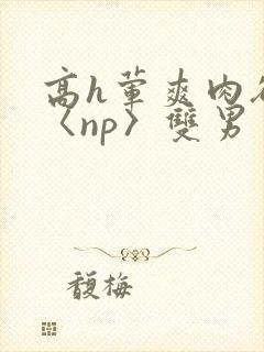 高h荤爽肉欲文〈np〉双男