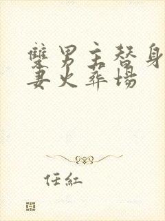 双男主替身梗追妻火葬场封面