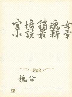 官场销魂女人们小说最新章节更新