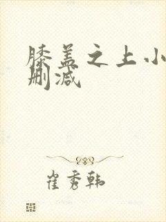 膝盖之上小说未删减