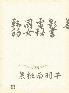 韩国电影 善良的女秘书