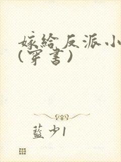 嫁给反派小叔子(穿书)