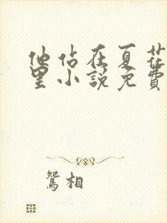 他站在夏花绚烂里小说免费在线阅读封面