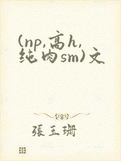 (np,高h,纯肉sm)文