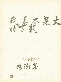 我真不是大佬txt下载