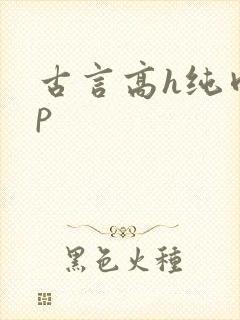 古言高h纯肉np