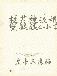 校花被流氓扒开双腿猛c小说封面