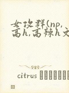女攻群(np,高h,高辣h文)