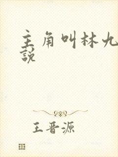 主角叫林九的小说