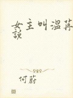 女主叫温苒的小说封面