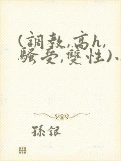 (调教,高h,骚受,双性)小说