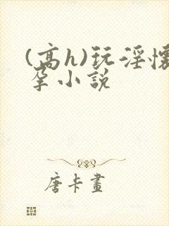 (高h)玩淫怀孕小说