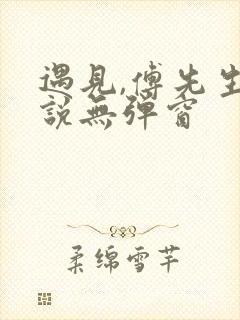 遇见,傅先生小说无弹窗封面