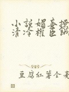 小说媚妾撩人,清冷权臣饿疯了免费