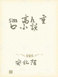 sm 高h 重口小说