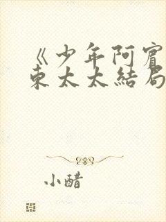 《少年阿宾》房东太太结局