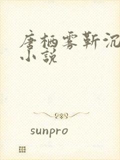 唐栖雾靳沉野的小说