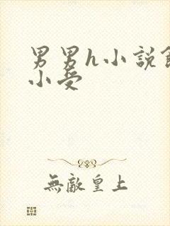 男男h小说饥渴小受