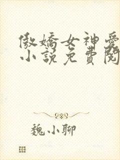 傲娇女神爱上我小说免费阅读