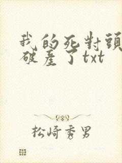 我的死对头终于破产了txt
