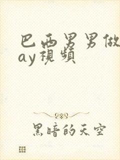 巴西男男做爰gay视频