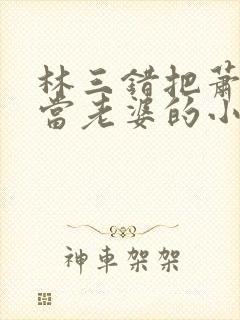 林三错把萧夫人当老婆的小说