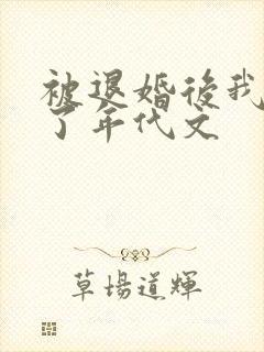 被退婚后我嫁给了年代文封面