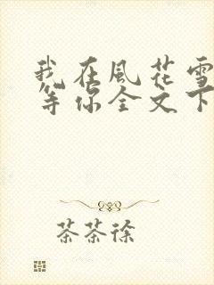 我在风花雪月里等你全文下载