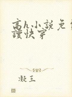 高h小说免费阅读快穿