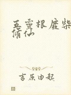 五灵根废柴空间修仙