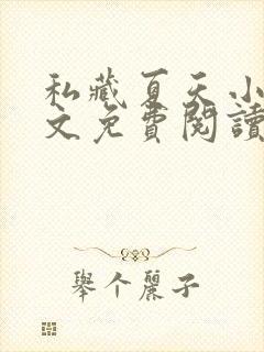 私藏夏天小说全文免费阅读笔趣阁封面