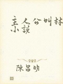 主人公叫林凡的小说