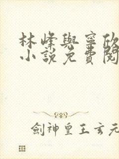 林峰与宁欣正版小说免费阅读最新封面