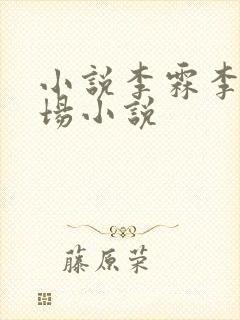 小说李霖李澜官场小说封面