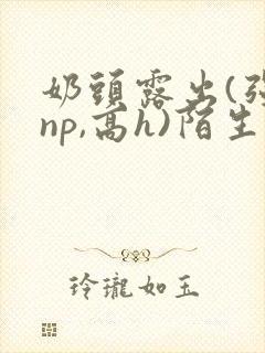 奶头露出(强jnp,高h)陌生人小说小说