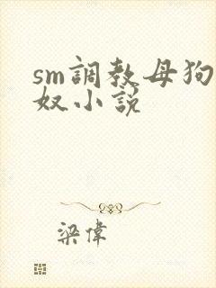 sm调教母狗女奴小说