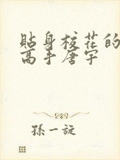 贴身校花的贴身高手唐宇封面