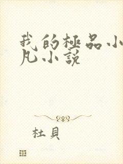 我的极品小姨叶凡小说封面