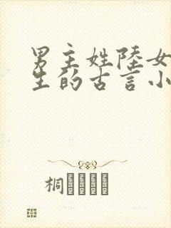 男主姓陆女主重生的古言小说