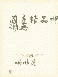 国产精品呻吟高潮无