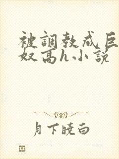 被调教成巨乳奶奴高h小说