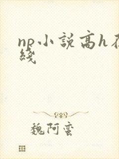 np小说高h在线封面