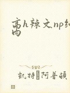 高h辣文np纯肉