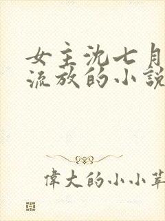 女主沈七月丫鬟流放的小说封面