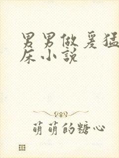 男男做爰猛烈叫床小说