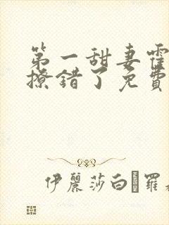 第一甜妻霍先生撩错了免费小说封面