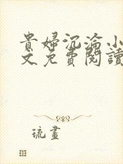 贵妇沉沦小说全文免费阅读最新章节